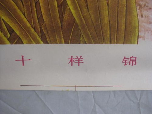 金正惠作 十樣錦 印刷品 畫(huà)一張 78 54厘米